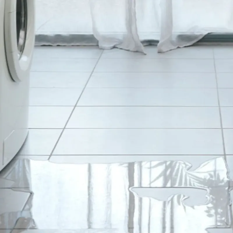 Appliance Leak Cleanup in Johnson County, KS