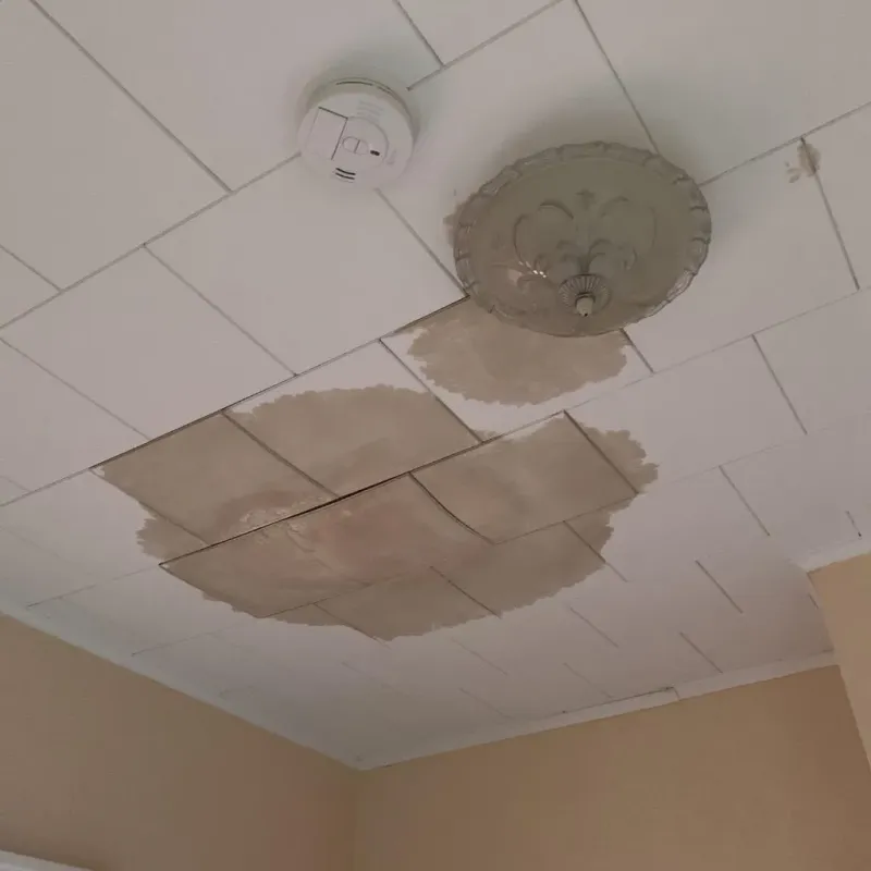 Ceiling Water Damage Repair in Johnson County, KS