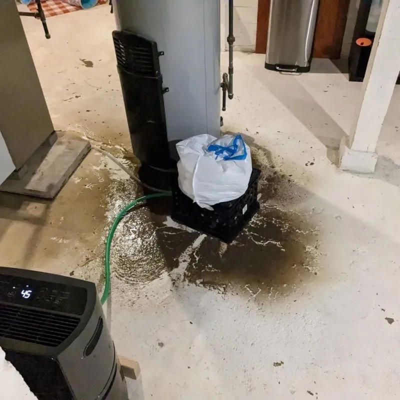 Sewage Backup Cleanup Service in Johnson County, KS